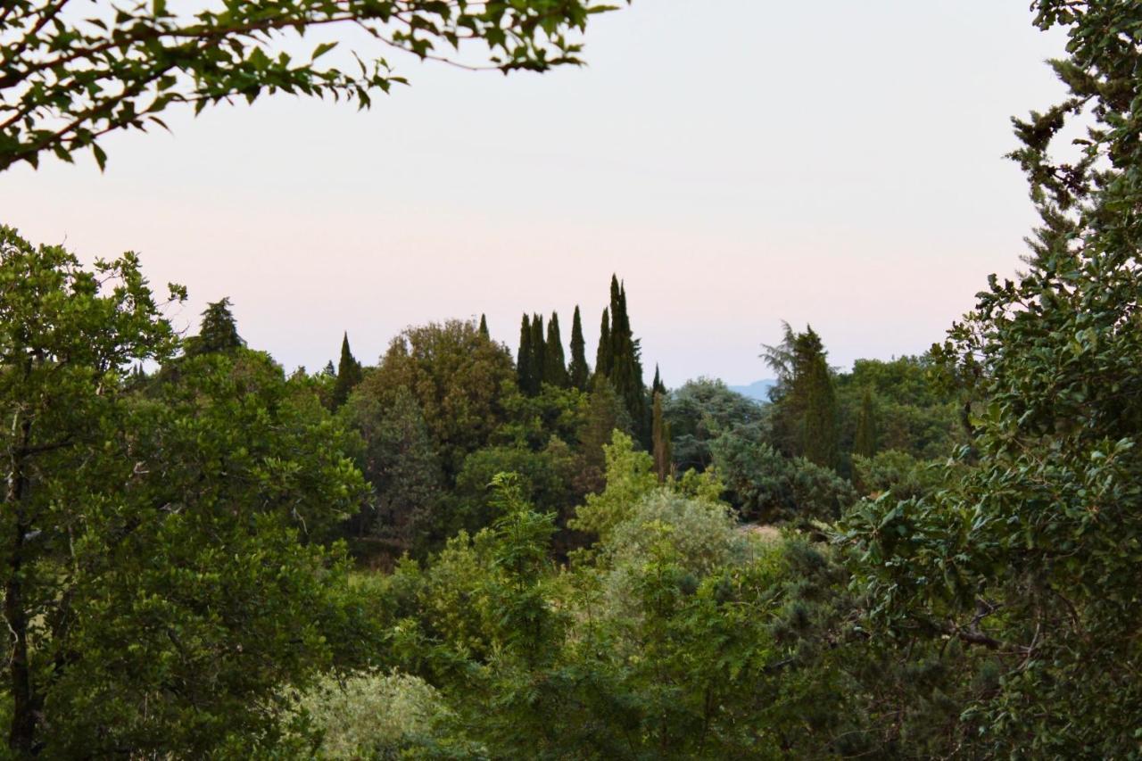 B&B Terre Toscane Ciggiano Exterior photo